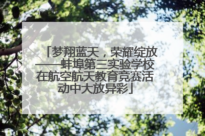 梦翔蓝天，荣耀绽放——蚌埠第三实验学校在航空航天教育竞赛活动中大放异彩
