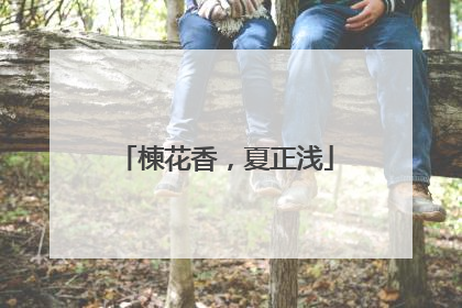 楝花香，夏正浅