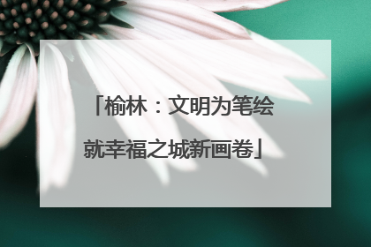 榆林：文明为笔绘就幸福之城新画卷