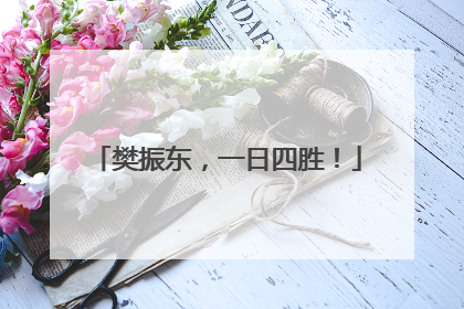 樊振东，一日四胜！