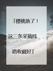 樱桃熟了！这三条采摘线路收藏好