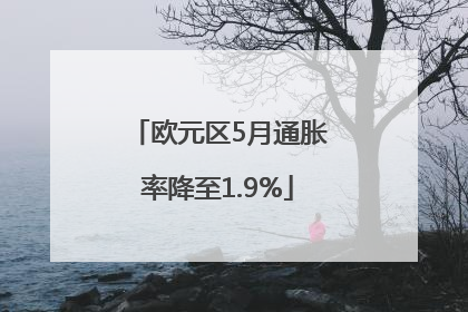 欧元区5月通胀率降至1.9%