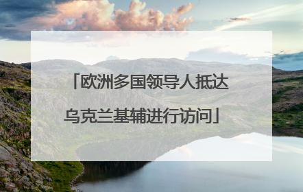 欧洲多国领导人抵达乌克兰基辅进行访问