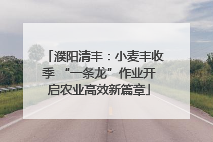 濮阳清丰：小麦丰收季 “一条龙”作业开启农业高效新篇章