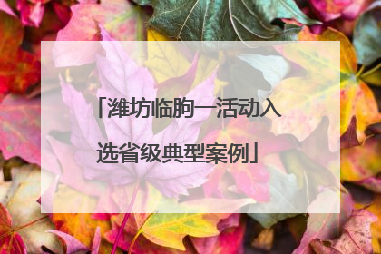 潍坊临朐一活动入选省级典型案例