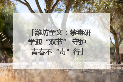 潍坊奎文：禁毒研学迎“双节” 守护青春不“毒”行