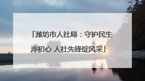 潍坊市人社局：守护民生淬初心 人社先锋绽风采
