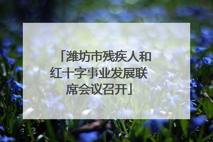 潍坊市残疾人和红十字事业发展联席会议召开