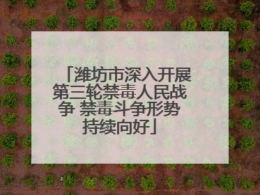 潍坊市深入开展第三轮禁毒人民战争 禁毒斗争形势持续向好
