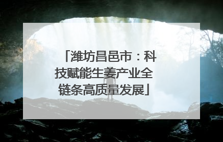 潍坊昌邑市：科技赋能生姜产业全链条高质量发展