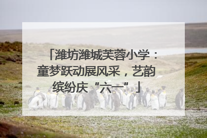潍坊潍城芙蓉小学：童梦跃动展风采，艺韵缤纷庆“六一”