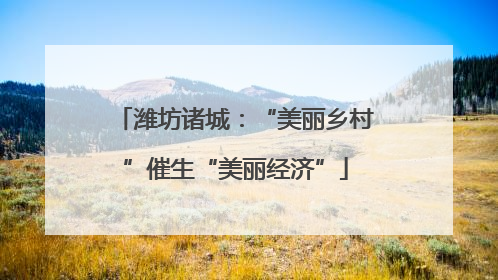 潍坊诸城：“美丽乡村”催生“美丽经济”