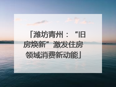 潍坊青州：“旧房焕新”激发住房领域消费新动能