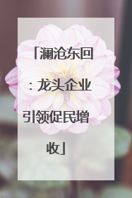 澜沧东回：龙头企业引领促民增收