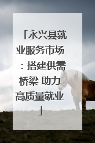 永兴县就业服务市场：搭建供需桥梁 助力高质量就业