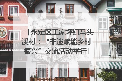 永定区王家坪镇马头溪村：“非遗赋能乡村振兴”交流活动举行