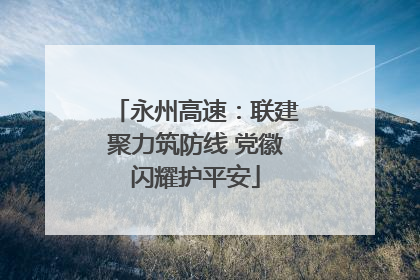 永州高速：联建聚力筑防线 党徽闪耀护平安