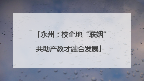 永州：校企地“联姻” 共助产教才融合发展
