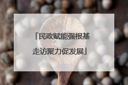 民政赋能强根基 走访聚力促发展