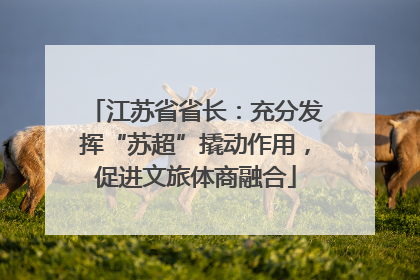 江苏省省长：充分发挥“苏超”撬动作用，促进文旅体商融合