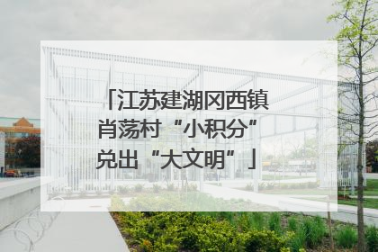 江苏建湖冈西镇肖荡村“小积分”兑出“大文明”