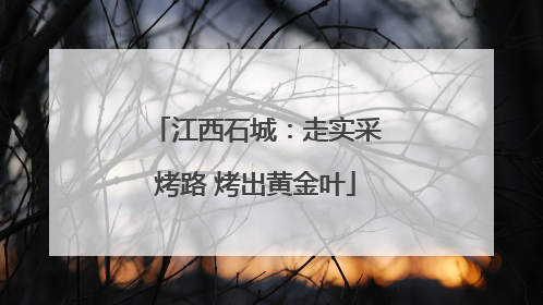 江西石城：走实采烤路 烤出黄金叶