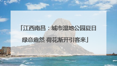 江西南昌：城市湿地公园夏日绿意盎然 荷花渐开引客来