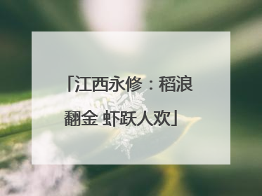 江西永修：稻浪翻金 虾跃人欢
