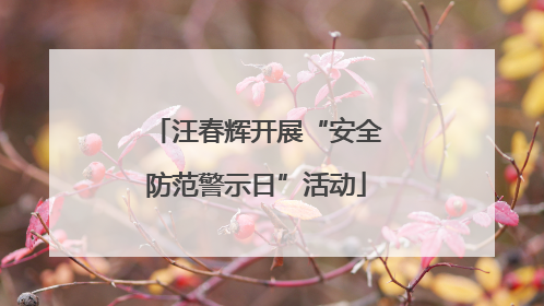汪春辉开展“安全防范警示日”活动