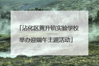 沾化区黄升镇实验学校举办迎端午主题活动