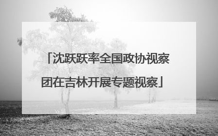 沈跃跃率全国政协视察团在吉林开展专题视察