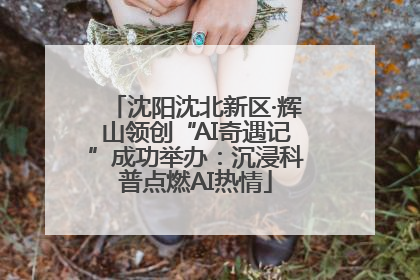 沈阳沈北新区·辉山领创“AI奇遇记”成功举办：沉浸科普点燃AI热情