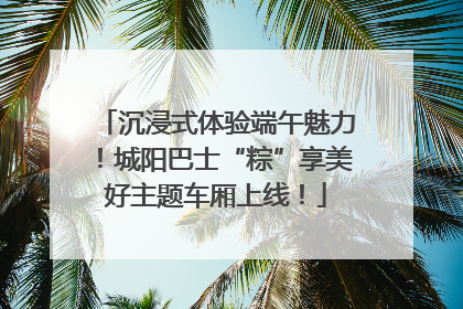 沉浸式体验端午魅力！城阳巴士“粽”享美好主题车厢上线！