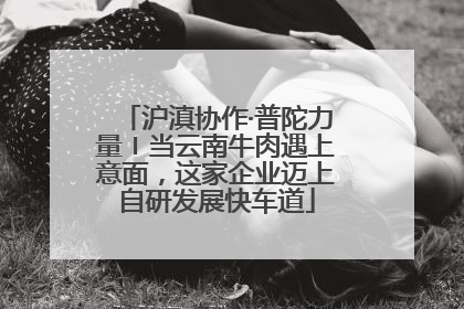 沪滇协作·普陀力量〡当云南牛肉遇上意面，这家企业迈上自研发展快车道