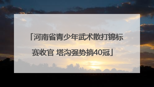 河南省青少年武术散打锦标赛收官 塔沟强势摘40冠