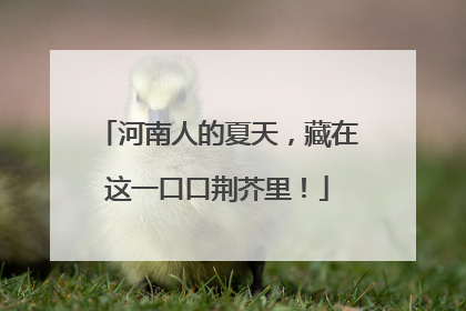 河南人的夏天，藏在这一口口荆芥里！