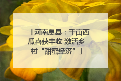 河南息县：千亩西瓜喜获丰收 激活乡村“甜蜜经济”