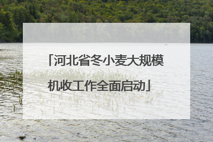 河北省冬小麦大规模机收工作全面启动