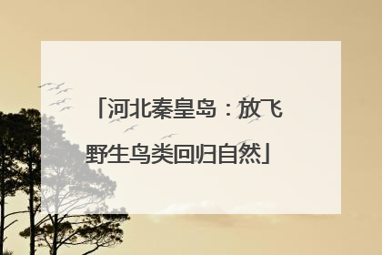 河北秦皇岛：放飞野生鸟类回归自然