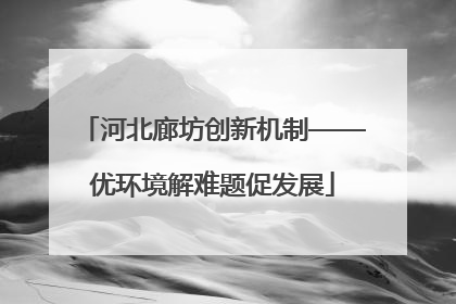 河北廊坊创新机制——优环境解难题促发展