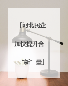 河北民企加快提升含“新”量