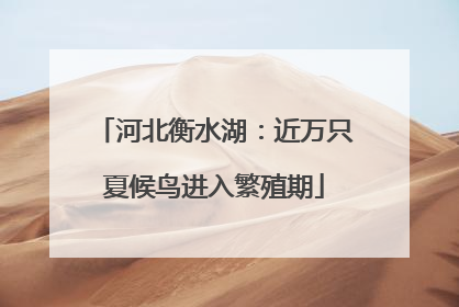 河北衡水湖：近万只夏候鸟进入繁殖期