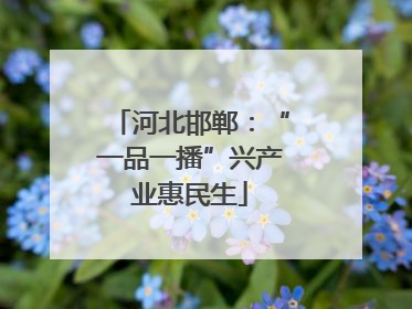 河北邯郸：“一品一播”兴产业惠民生