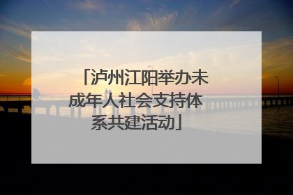 泸州江阳举办未成年人社会支持体系共建活动