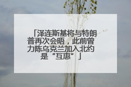 泽连斯基将与特朗普再次会晤，此前曾力陈乌克兰加入北约是“互惠”