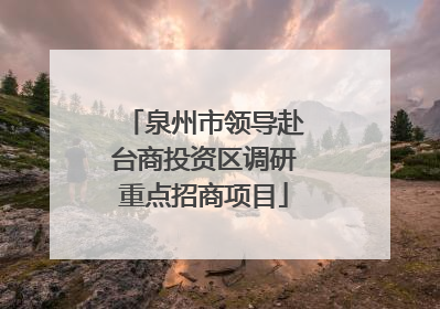 泉州市领导赴台商投资区调研重点招商项目