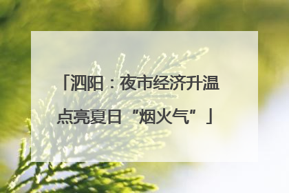泗阳：夜市经济升温 点亮夏日“烟火气”