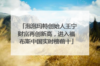 泡泡玛特创始人王宁财富再创新高，进入福布斯中国实时榜前十