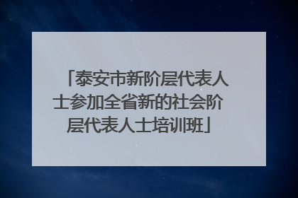 泰安市新阶层代表人士参加全省新的社会阶层代表人士培训班