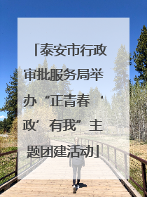 泰安市行政审批服务局举办“正青春‘政’有我”主题团建活动
